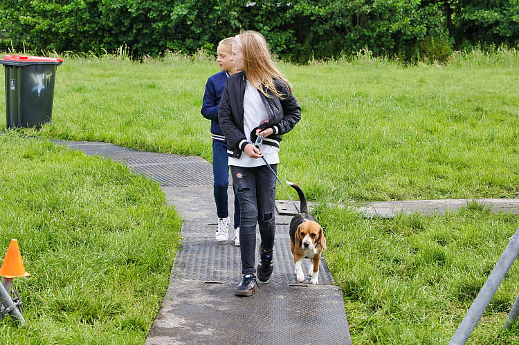 15 juni 2019 - DVC beachvolleybaltoernooi_072